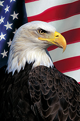 Home of the Brave