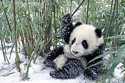 Winter Fun