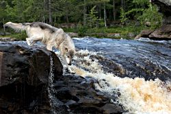 At the Waterfall